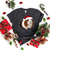 MR-1710202317469-guinea-pig-christmas-shirt-guinea-pig-shirt-guinea-pig-lover-image-1.jpg