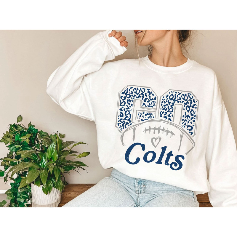 Go Indianapolis Football Fan TShirt, Retro Football T-shirt, Men's Women's Unisex Apparel, Gameday Hoodie, Football Gifts.jpg