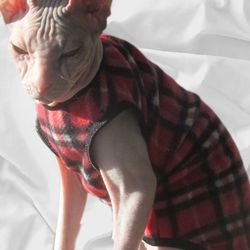 cat clothes,sphynx clothes,cat sweater,sphynx sweater, fleece clothing for cats