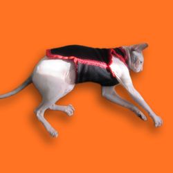 Cat clothes, cat sweater, Clothes for cat,hat for cat, clothes for sphynx