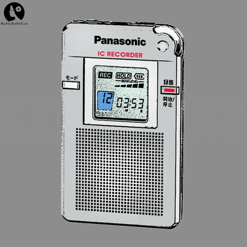 KLA2473-Panasonic RRDR60 Handheld Digital IC Recorder eVp Ghost Hunter Device PNG, Digital Download.jpg