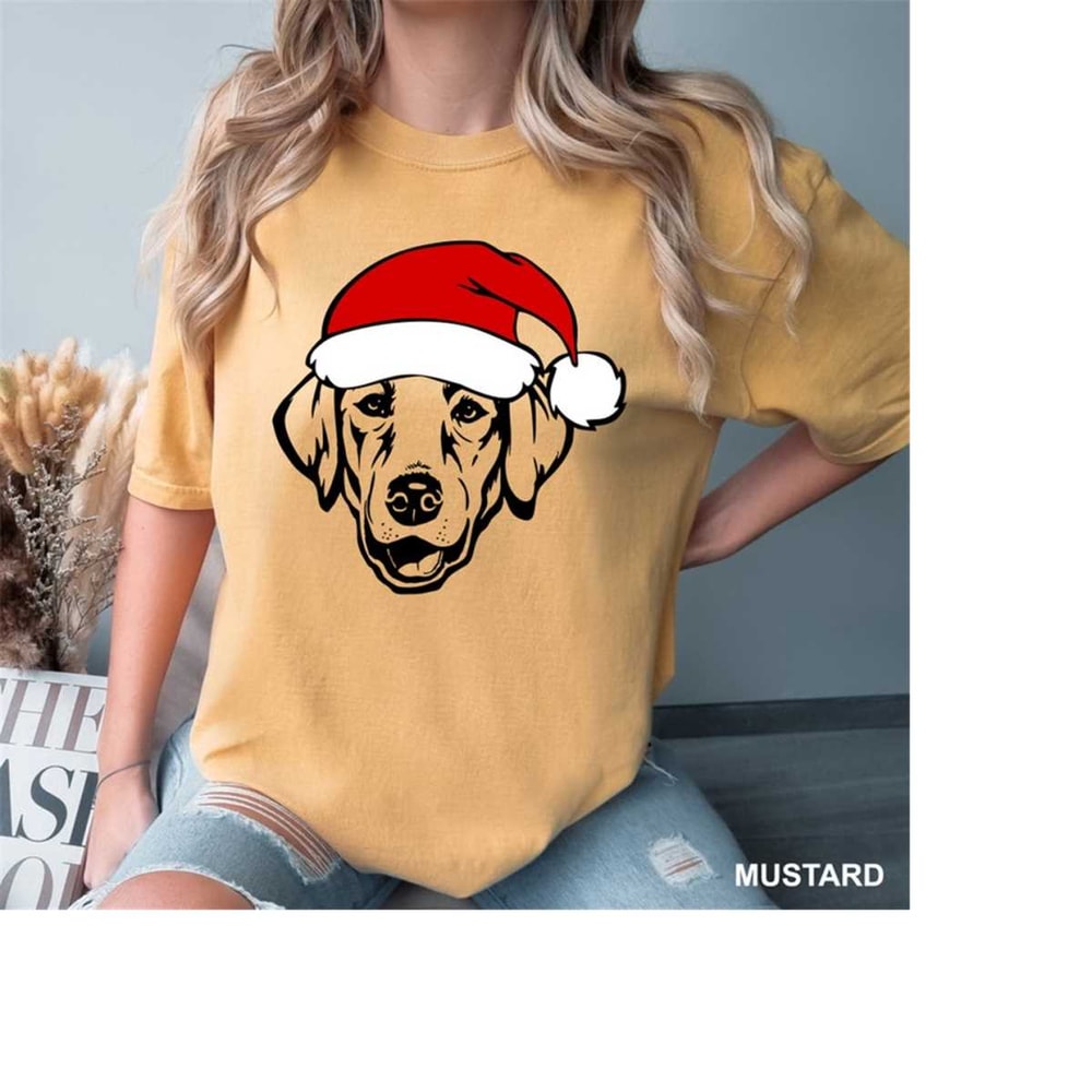 MR-18102023141512-labrador-dog-with-santa-hat-t-shirt-labrador-christmas-shirt-image-1.jpg