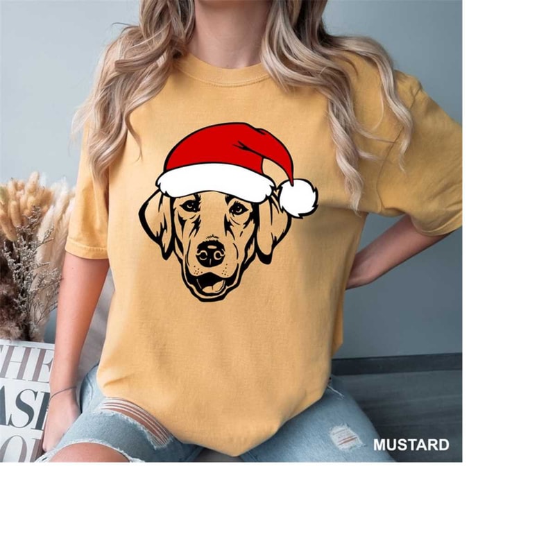 MR-18102023141512-labrador-dog-with-santa-hat-t-shirt-labrador-christmas-shirt-image-1.jpg