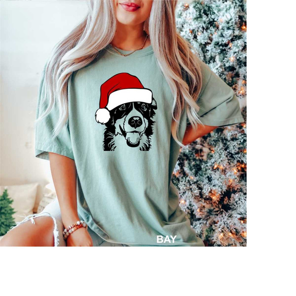 MR-18102023141813-bernese-dog-with-santa-hat-t-shirt-bernese-mountain-christmas-image-1.jpg