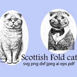 Scottish Fold Cat Instant Digital Downloadable File for Silhouette,Clipart,Vector,Svg,Dxf,Png,Jpg,Ai,Eps Forma