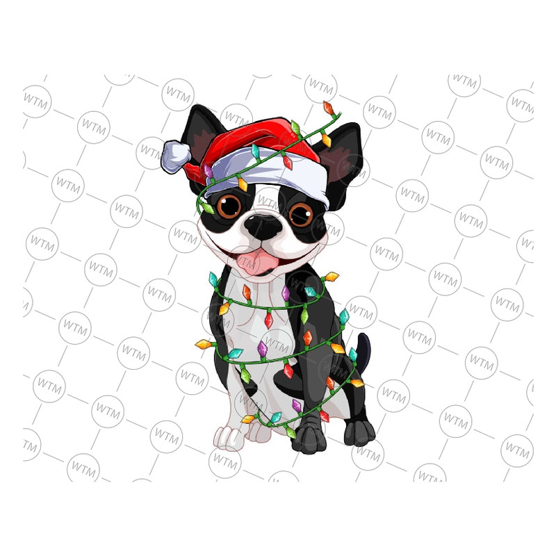 UNICORN WTM_CV_XAM399.jpg