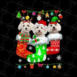 christmas socks pajama maltese dog puppy png, maltese dog, funny christmas png, gift for dog lovers png sublimation