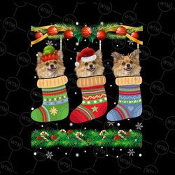 christmas pajama chihuahua dog png, puppy lover xmas socks png, chihuahua christmas png chihuahua gift animal png