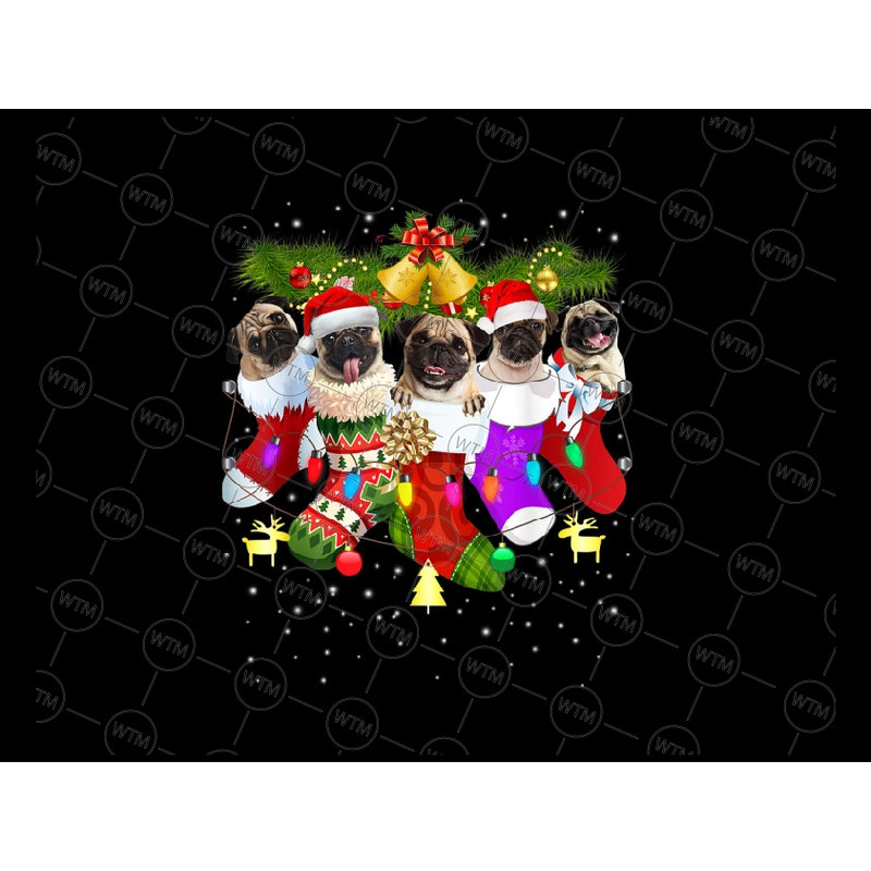 UNICORN WTM_CV_XAM417.jpg