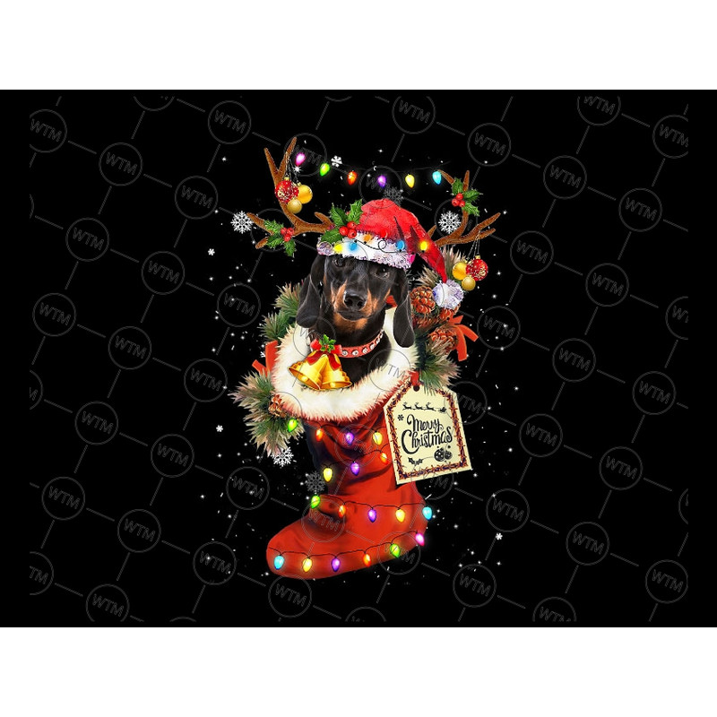 UNICORN WTM_CV_XAM420.jpg