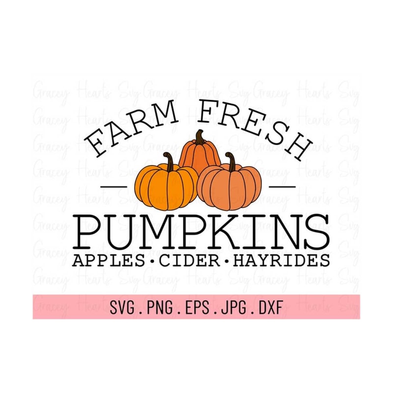 MR-18102023173925-farm-fresh-pumpkins-svg-fall-svg-autumn-svg-thanksgiving-image-1.jpg