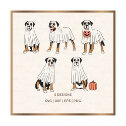 halloween swiss mountain dog svg, boo svg, halloween svg, files for cricut, silhouette, sublimation, digital download