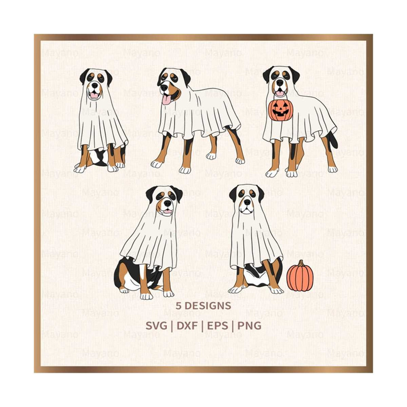 MR-181020231909-halloween-swiss-mountain-dog-svg-boo-svg-halloween-svg-image-1.jpg