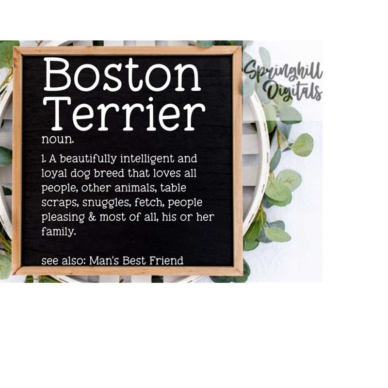 MR-18102023192037-boston-terrier-svg-definition-prints-dog-svgs-pet-svgs-image-1.jpg