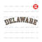 MR-1910202325447-delaware-leopard-print-sublimation-design-delaware-state-png-image-1.jpg