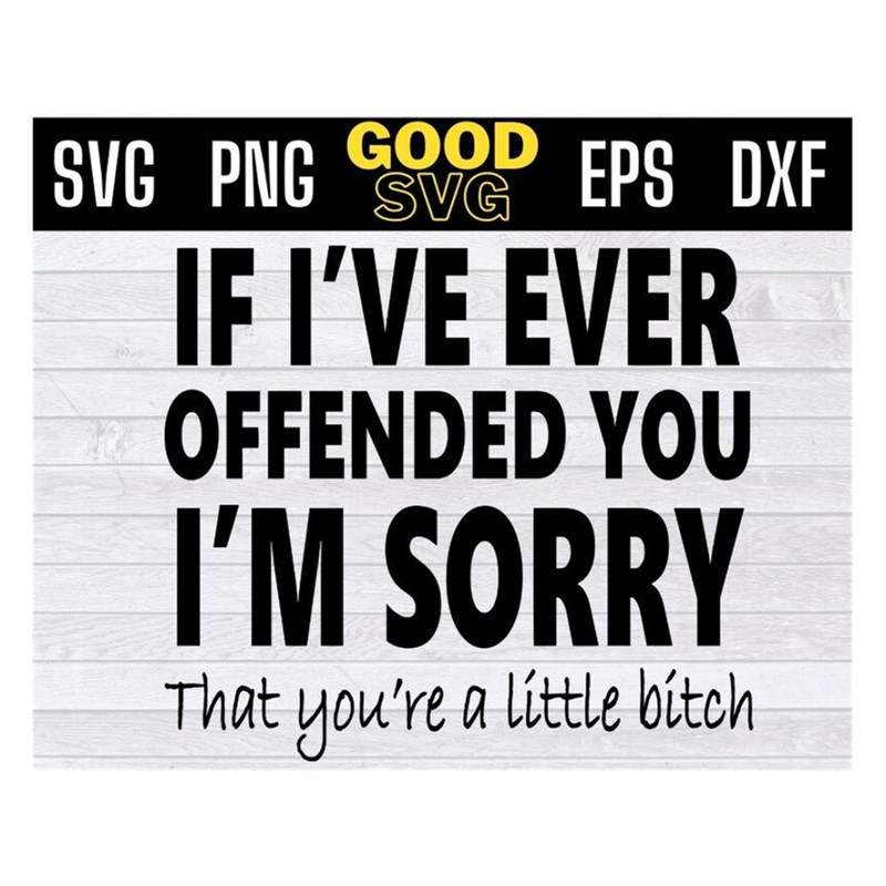 MR-1910202391411-if-ive-ever-offended-you-im-sorry-that-youre-a-little-svg-image-1.jpg