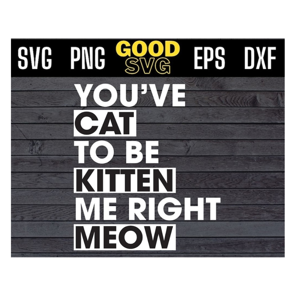 MR-1910202393046-youve-cat-to-be-kitten-me-right-meow-svg-files-for-cricut-image-1.jpg