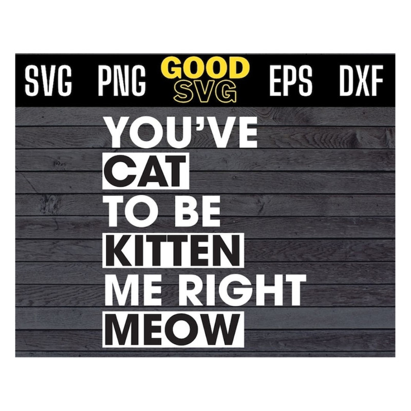 MR-1910202393046-youve-cat-to-be-kitten-me-right-meow-svg-files-for-cricut-image-1.jpg