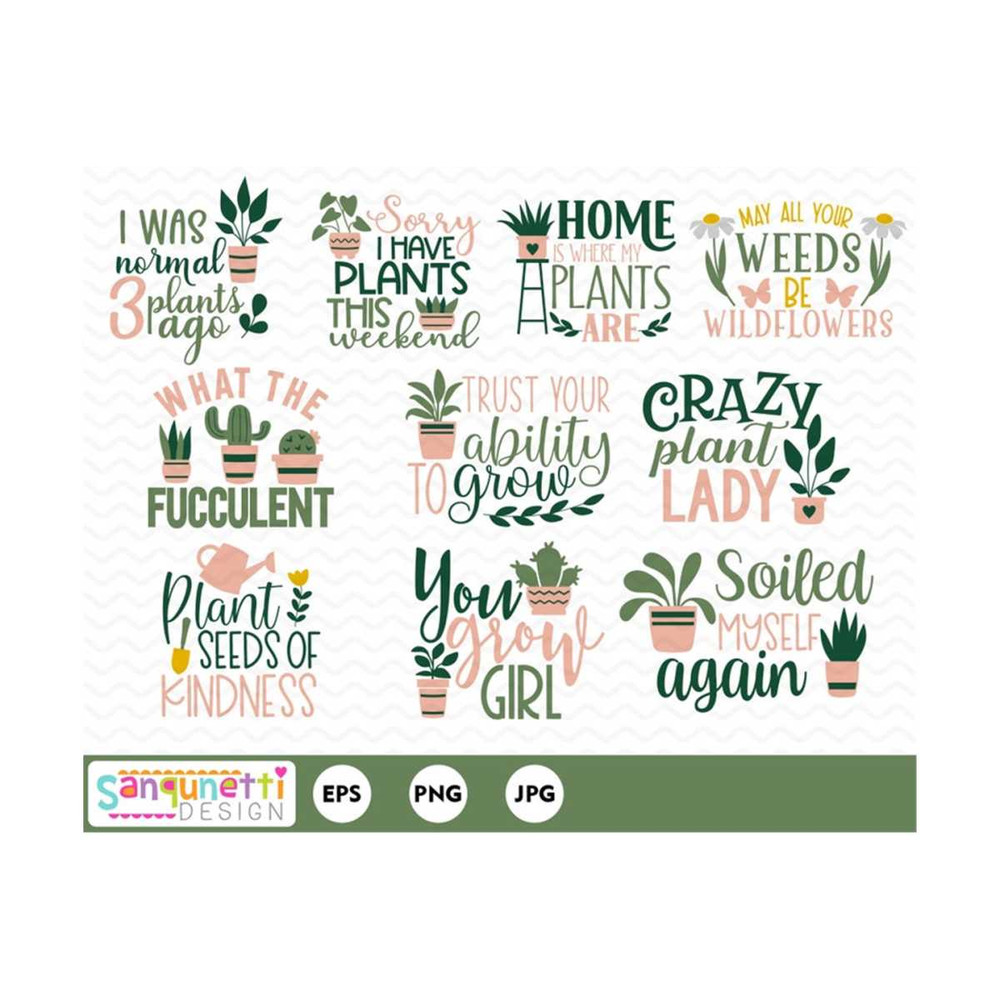MR-19102023103036-indoor-plants-clipart-house-plant-digtal-art-succulent-and-image-1.jpg