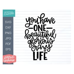 you have one beautiful, glorious, crazy life svg, love life and live to the fullest quote, cricut, silhouette, glowforge