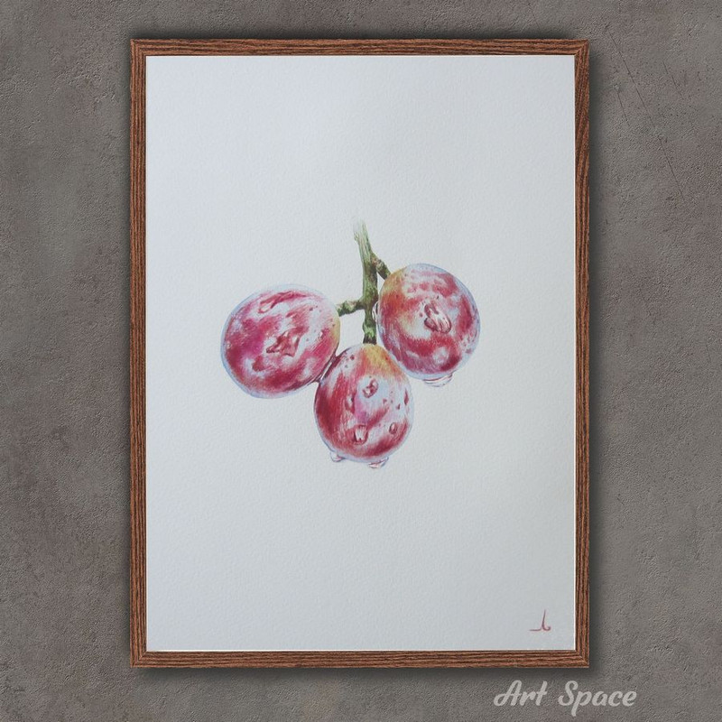 art-grapes-berries-plant-botanical illustration-drawing-plant watercolor- watercolor illustration- 1.jpg