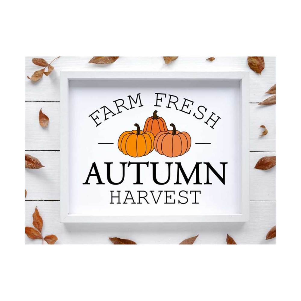 MR-1910202314616-farm-fresh-autumn-harvest-svg-fall-pumpkin-svg-fall-sign-image-1.jpg