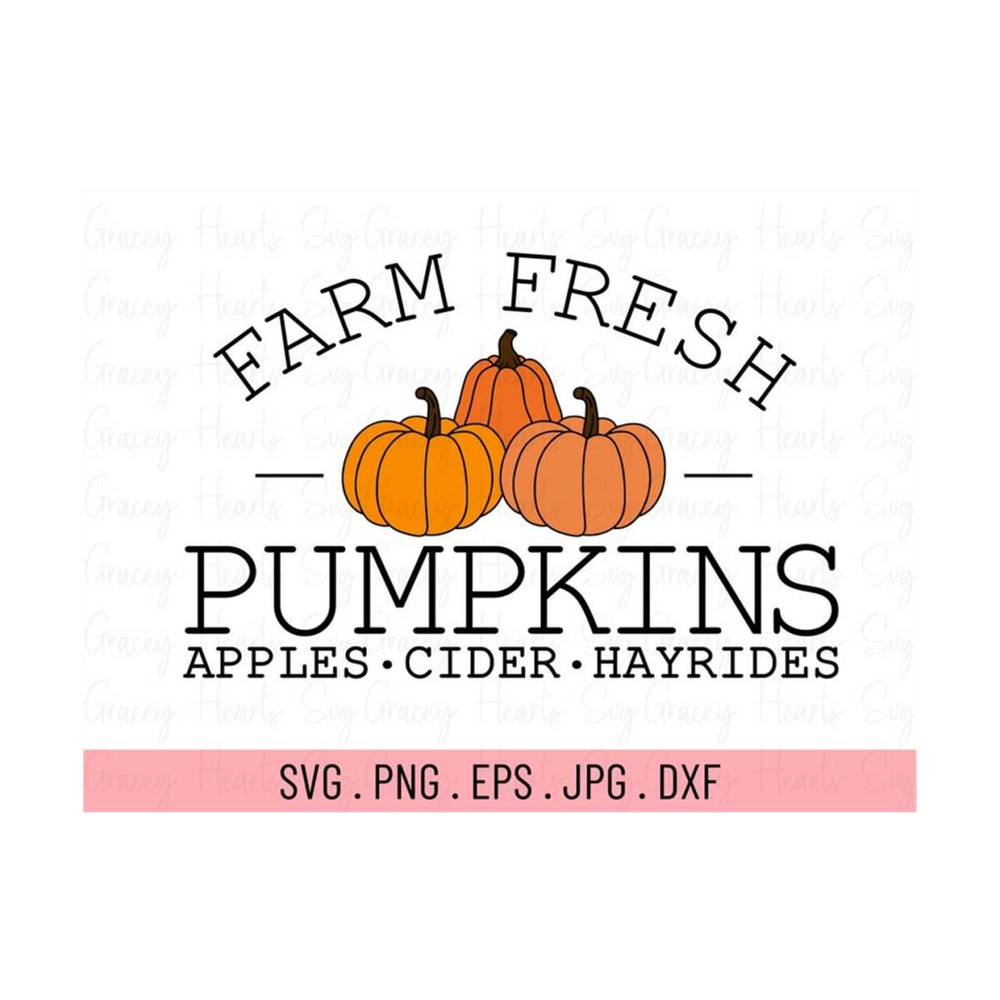 MR-1910202314652-farm-fresh-pumpkins-svg-fall-svg-autumn-svg-thanksgiving-image-1.jpg