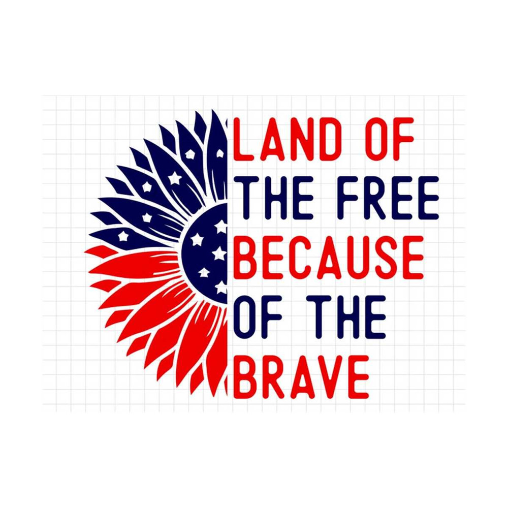 MR-19102023154455-land-of-the-free-because-of-the-brave-svg-4th-of-july-svg-image-1.jpg