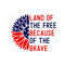 MR-19102023155134-land-of-the-free-because-of-the-brave-svg-4th-of-july-svg-image-1.jpg