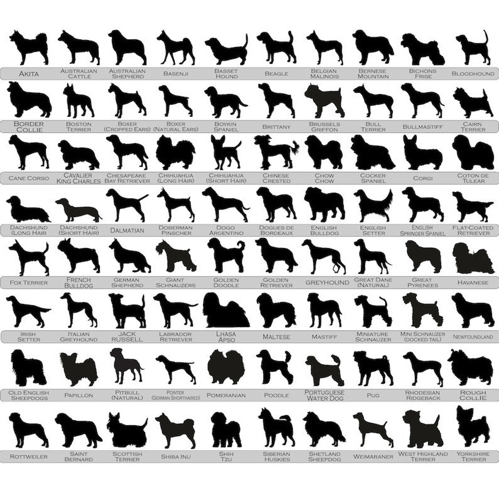 Personalized Dog Suncatcher Ornament, Customizable Dog Breed Suncatcher, Stained Glass Light Catcher, Pet Loss Gift, Pet Memorial Ornament - 2.jpg