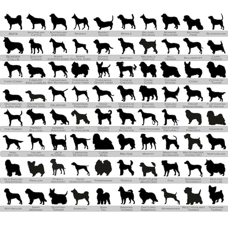 Personalized Dog Suncatcher Ornament, Customizable Dog Breed Suncatcher, Stained Glass Light Catcher, Pet Loss Gift, Pet Memorial Ornament - 2.jpg