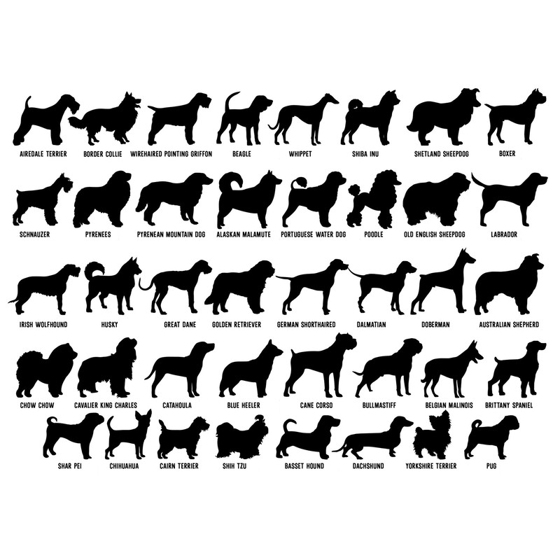 Personalized Dog Ornament, Dog Memorial Suncatcher, Dog Memorial Ornament, Suncatcher Pet Memorial, Dog Loss Sympathy Gift,Dog Memorial Gift - 3.jpg