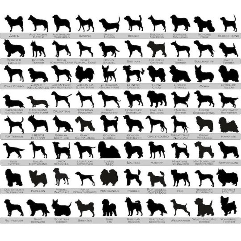 Pet Flower Suncatcher Ornament, Custom Dog Photo Memorial Suncatcher, Loss of Pet Sympathy Gift, Xmas 2023,Gift for Lovers - 3.jpg