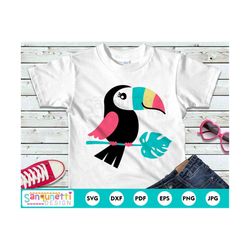 toucan parrot svg, tropical cutting file for silhouette or cricut