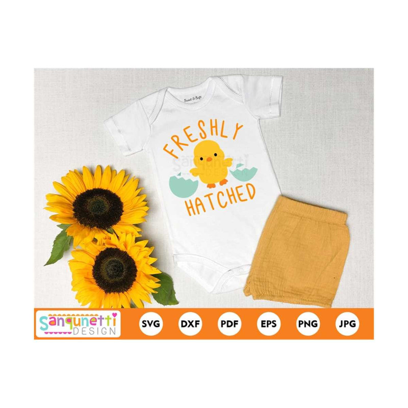 MR-2010202312494-freshly-hatched-svg-chick-easter-and-spring-svg-baby-cut-image-1.jpg