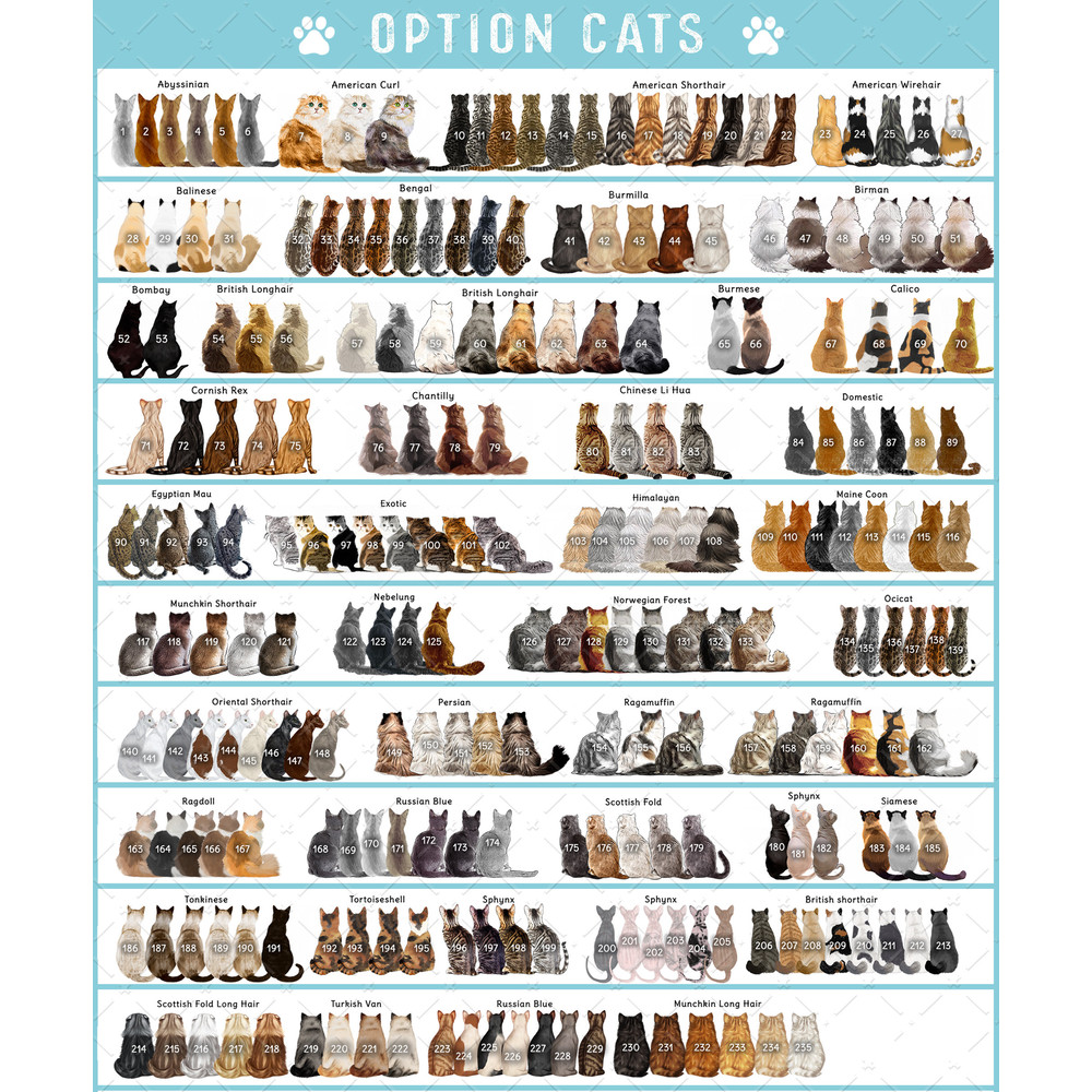 Custom Couple With Pets Ornament, 2023 Christmas Couple Ornament, Family and Pet Christmas Ornament, Christmas Gift for Cat and Dog Lovers - 4.jpg