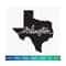 20102023152251-arlington-city-svg-texas-svg-texas-clipart-texas-image-1.jpg