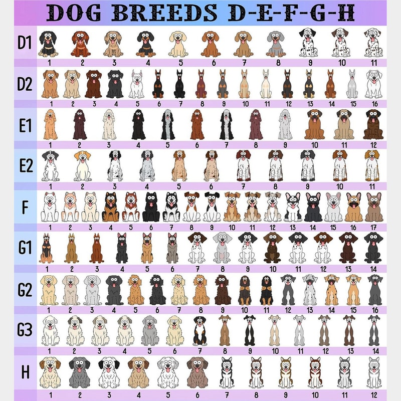 Personalized Dog Christmas Ornament, Peeking Dog Ornament, Funny Custom Dogs Ornament, Christmas Gift, Custom Pets Ornament, Christmas Decor - 4.jpg