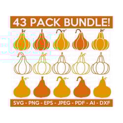 gourd svg bundle, pumpkin svg, pumpkin vector, halloween svg, pumpkin shirt svg,fall clipart,autumn clipart, cut file for cricut, silhouette