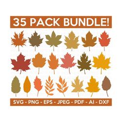 fall leaves svg bundle, fall cliparts svg bundle, maple leaf svg, autumn svg, fall leaf svg, autumn bundle svg, cricut, silhouette