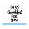 20102023154346-im-so-thankful-for-you-svg-thankful-svg-thank-you-svg-image-1.jpg