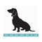 2010202316416-dachshund-dog-svg-dog-silhouette-svg-playful-dog-svg-dog-image-1.jpg