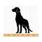 20102023161025-dog-svg-dog-silhouette-svg-playful-dog-svg-dog-breed-svg-image-1.jpg
