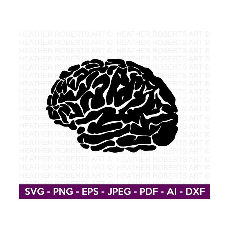 20102023163841-brain-svg-brain-clipart-human-brain-svg-mind-svg-anatomy-image-1.jpg
