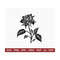 201020231757-rose-flower-svg-floral-decoration-svg-rose-svg-flower-svg-image-1.jpg