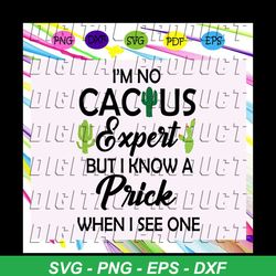 i'm no cactus expert but i know a prick when i see one, cactus svg,cactus shirt, cactus gift, cactus print, cactus silho