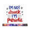 20102023184632-im-not-drunk-im-patriotic-svg-4th-of-july-svg-july-4th-image-1.jpg