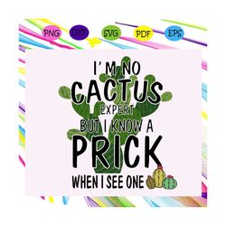 im no cactus expert but i know a prick when i see one, cactus svg,cactus shirt, cactus gift, cactus print, cactus silhou