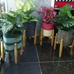 Sisal basket planters