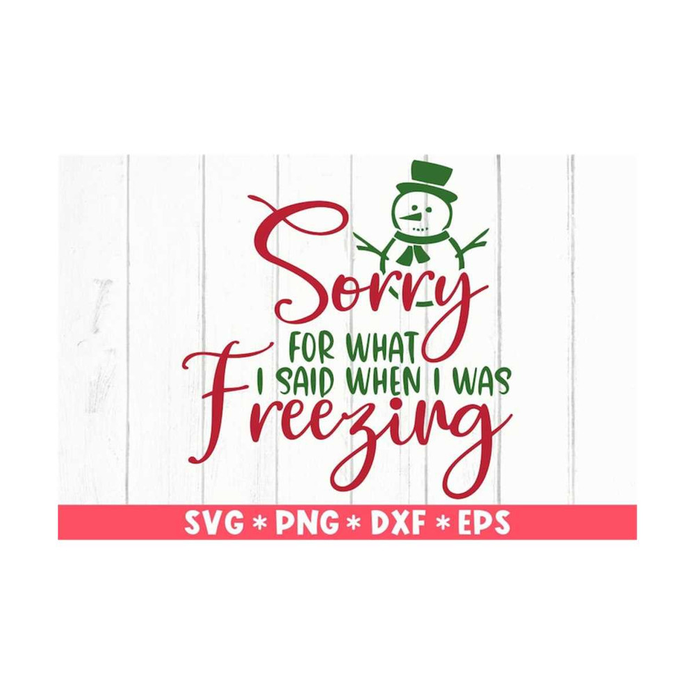 MR-2110202395819-sorry-for-what-i-said-when-i-was-freezing-svg-christmas-image-1.jpg
